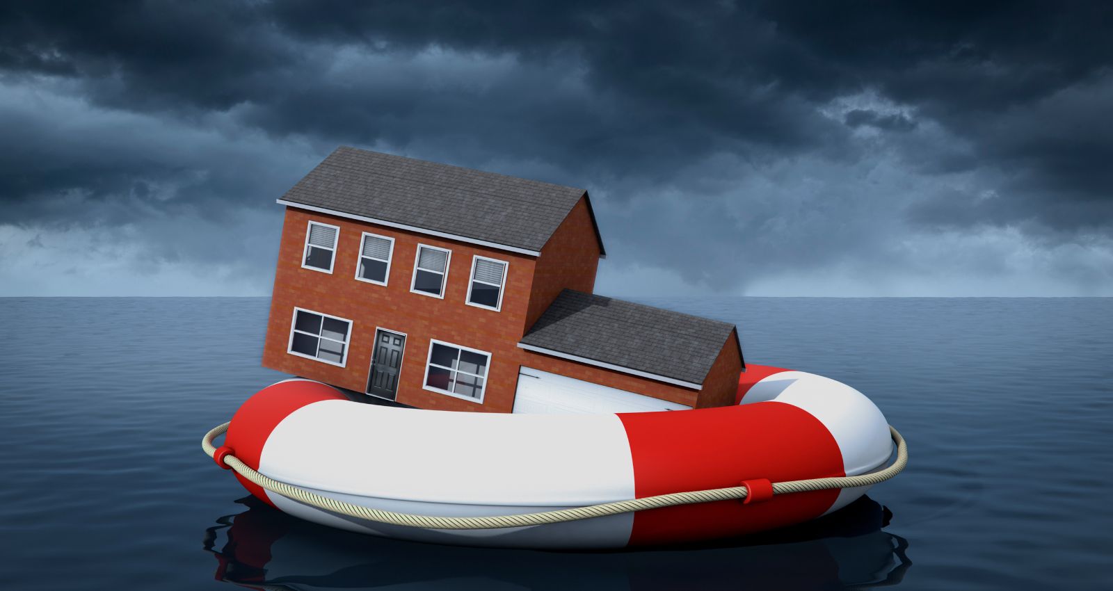 bloh-holver-radce (1)